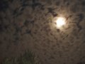 2007-11 Moon Shot